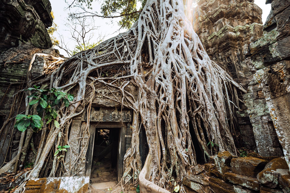 Nearby temples surrounded by jungle close to Bayon