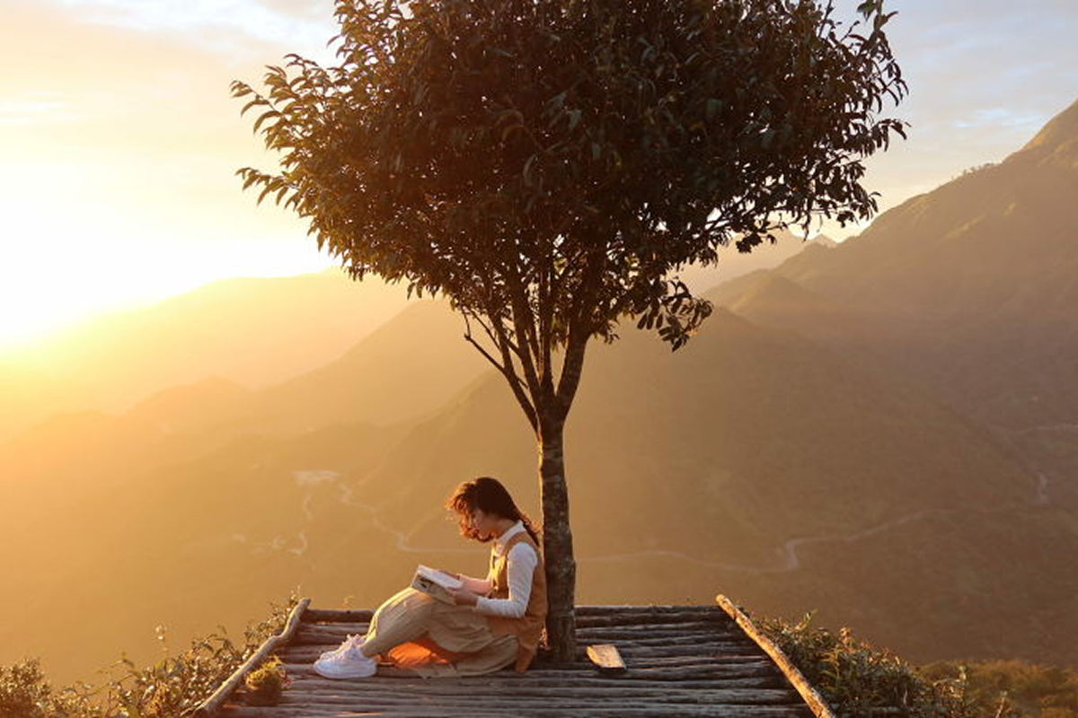 traveler taking photos at lonely tree sapa viewpoint