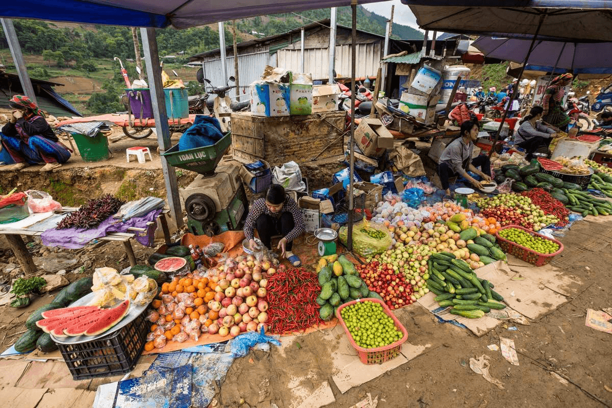 tips for best sapa experiences