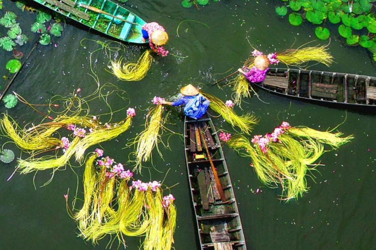 Mekong Delta river landscape with boats and floating water life