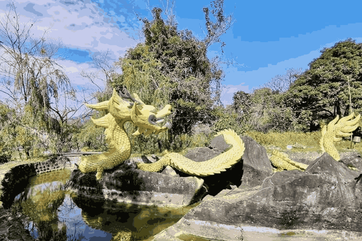 Things to do at Ham Rong Mountain