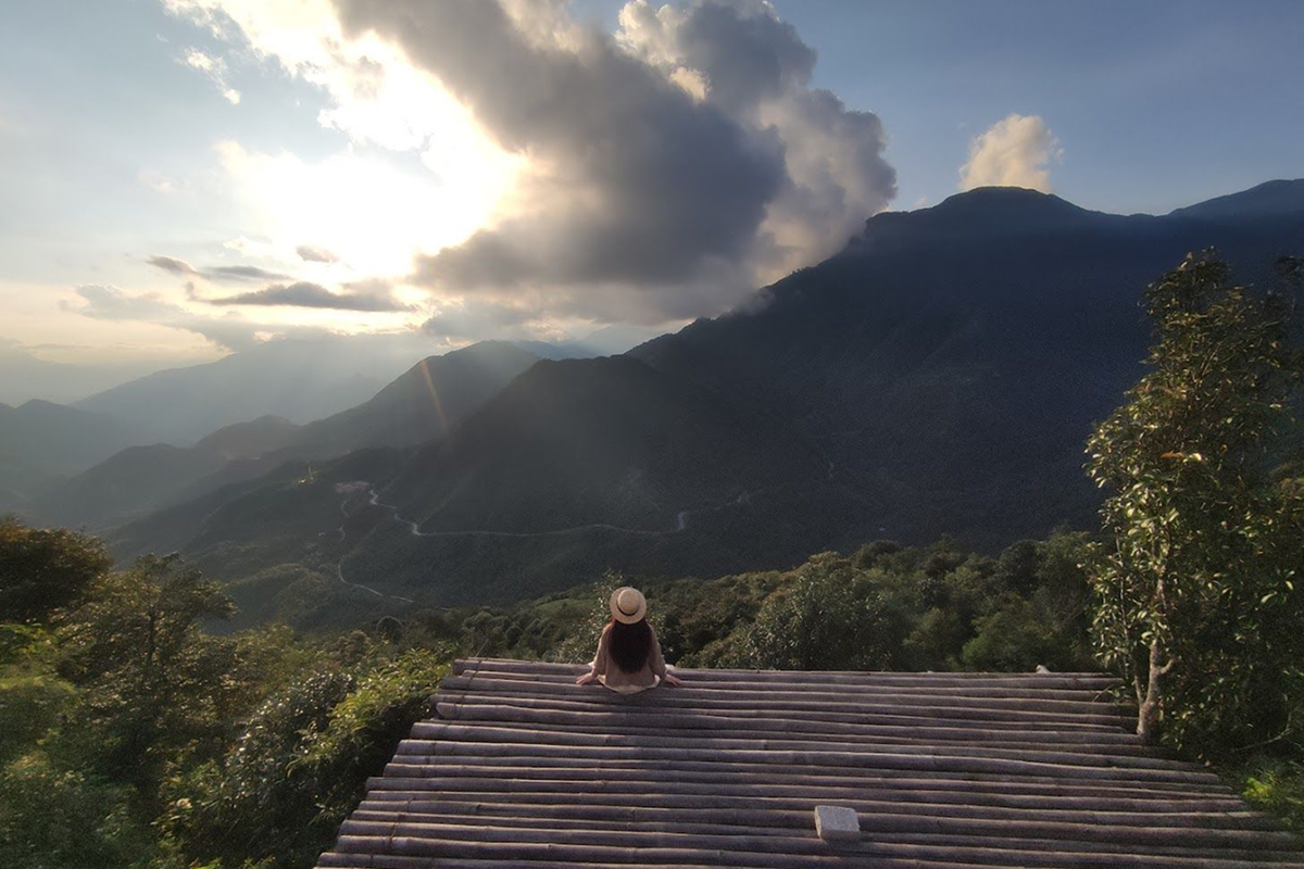 lone tree overlooking the valley in sapa vietnam