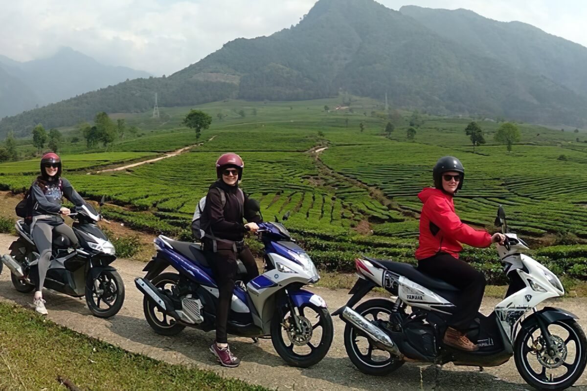 How to get to Ham Rong Mountain