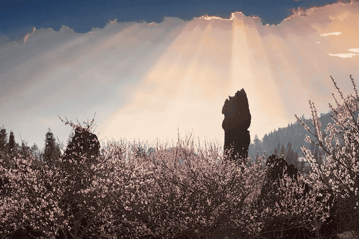 Things to do at Ham Rong Mountain