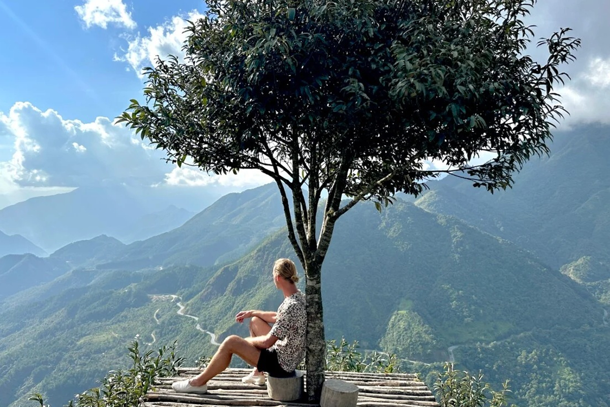 lonely tree sapa standing alone on a misty mountain hillside