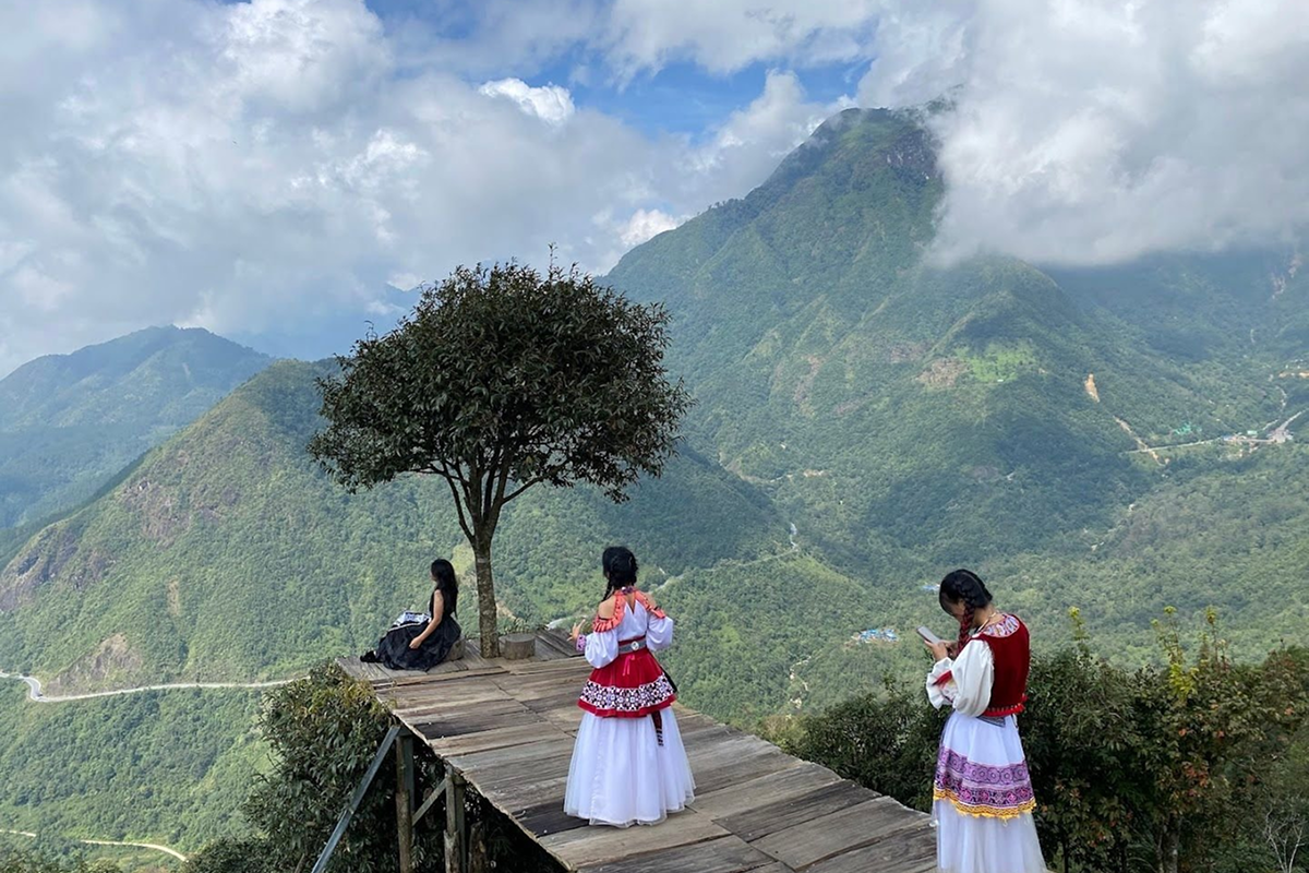 traveler taking photos at lonely tree sapa viewpoint