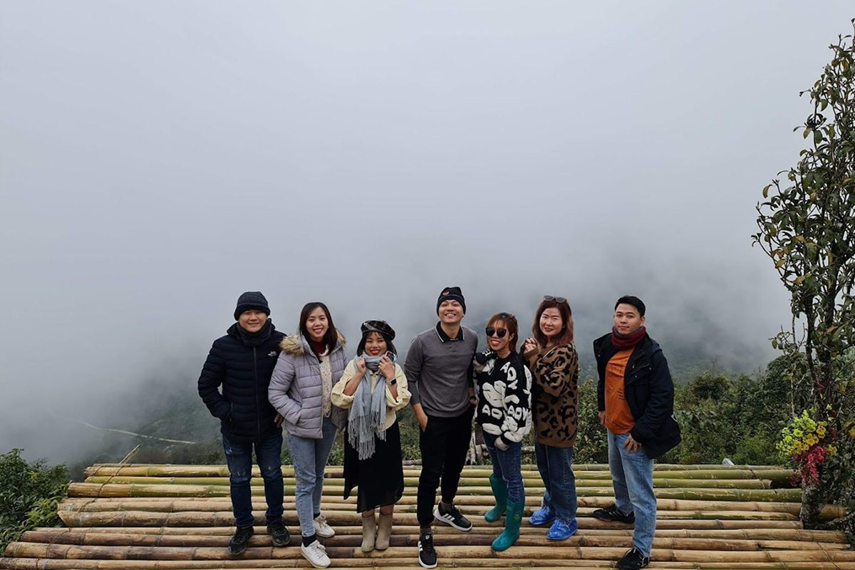 misty road and lonely tree in sapa highlands