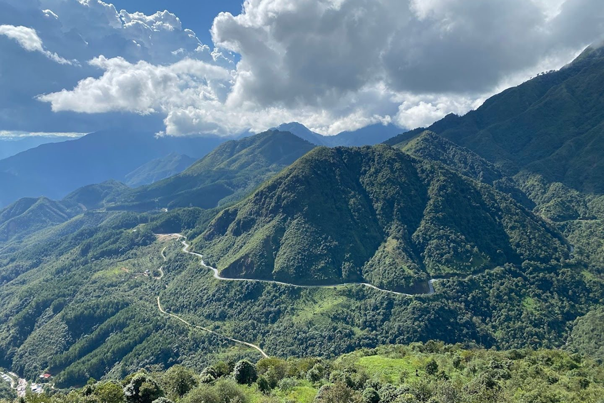 mountain landscape near lonely tree sapa in lao cai