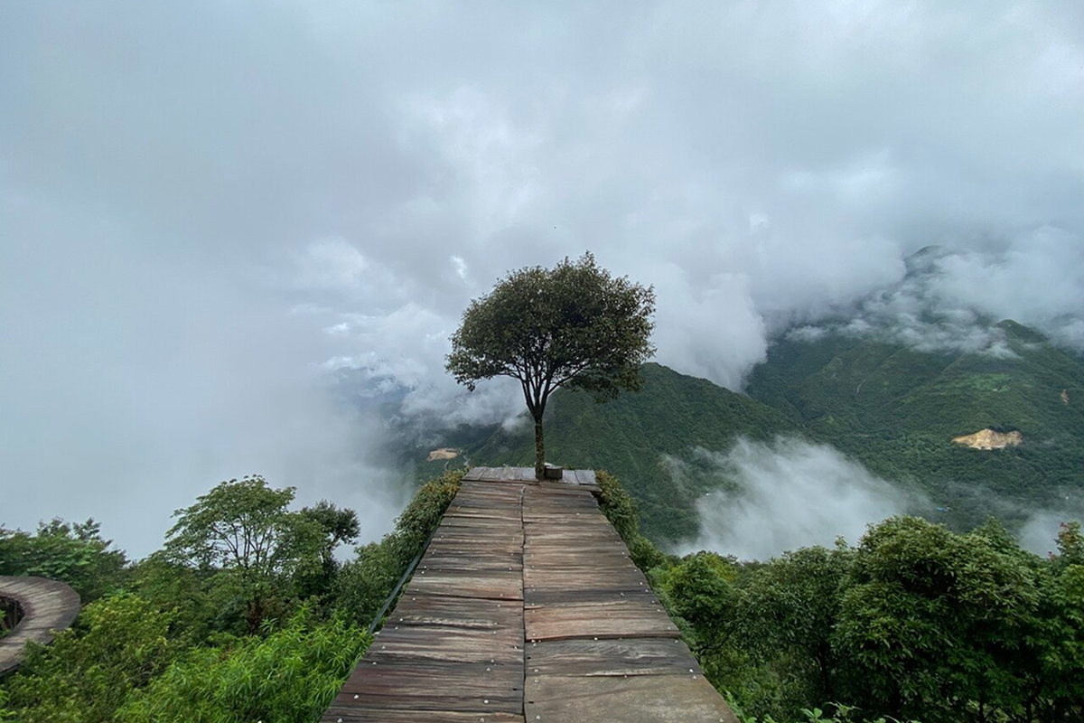 mountain landscape near lonely tree sapa in lao cai