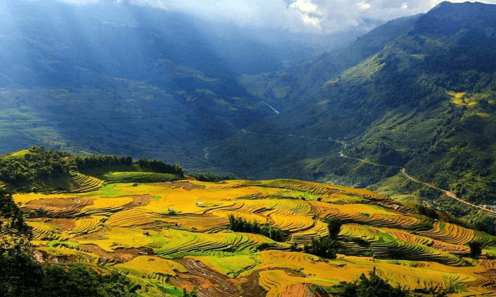 muong hoa valley bìa