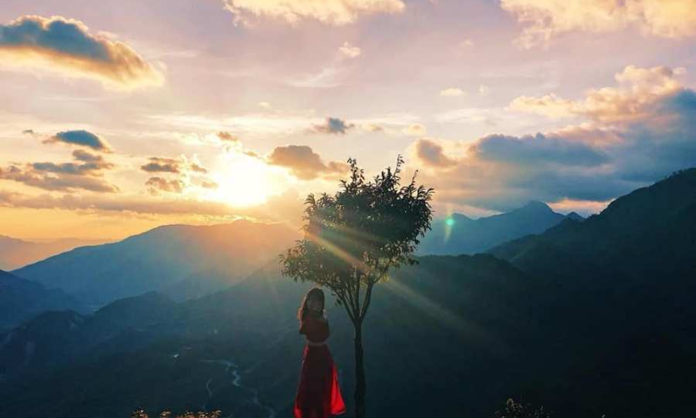 The Lonely Tree: A must-see check-in spot