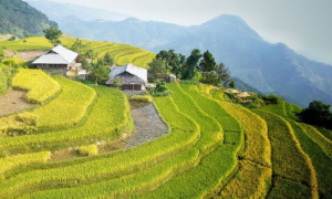 sin chai village Bìa