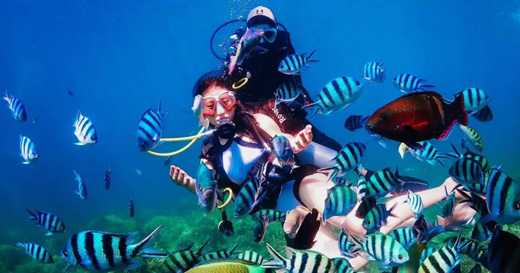 Diver exploring colorful coral reefs during the best scuba diving Nha Trang experience