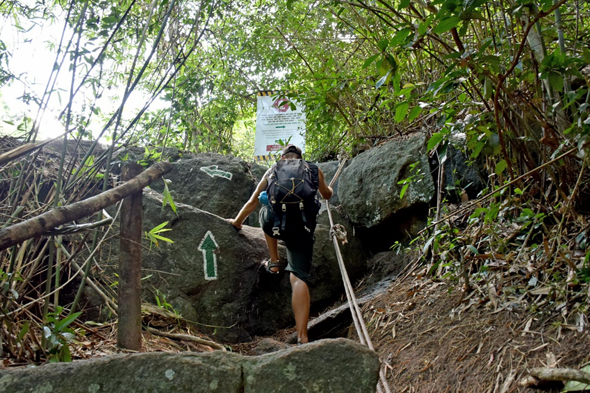 Jungle trekking path with rocks and greenery at Ba Ho