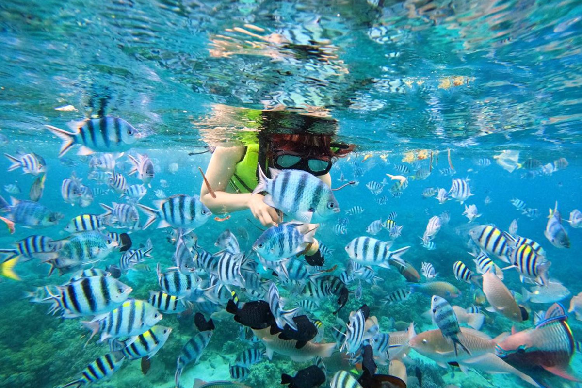 Tropical fish and coral reefs in Nha Trang underwater snorkeling experience
