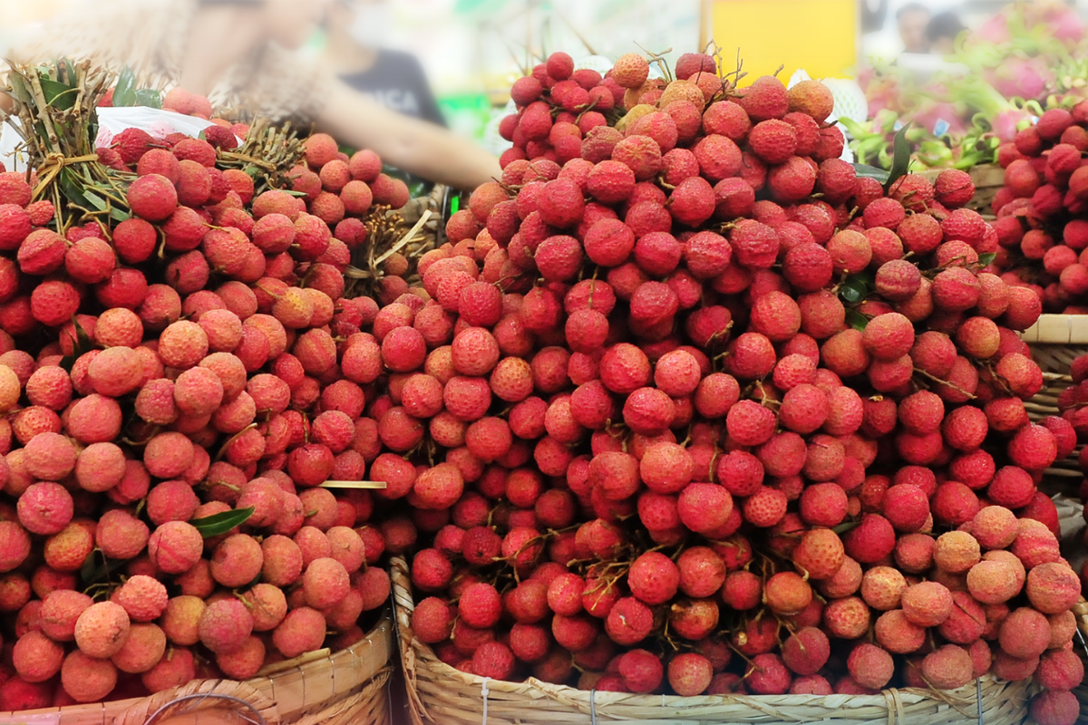 What Month Is Lychee Season in Vietnam?