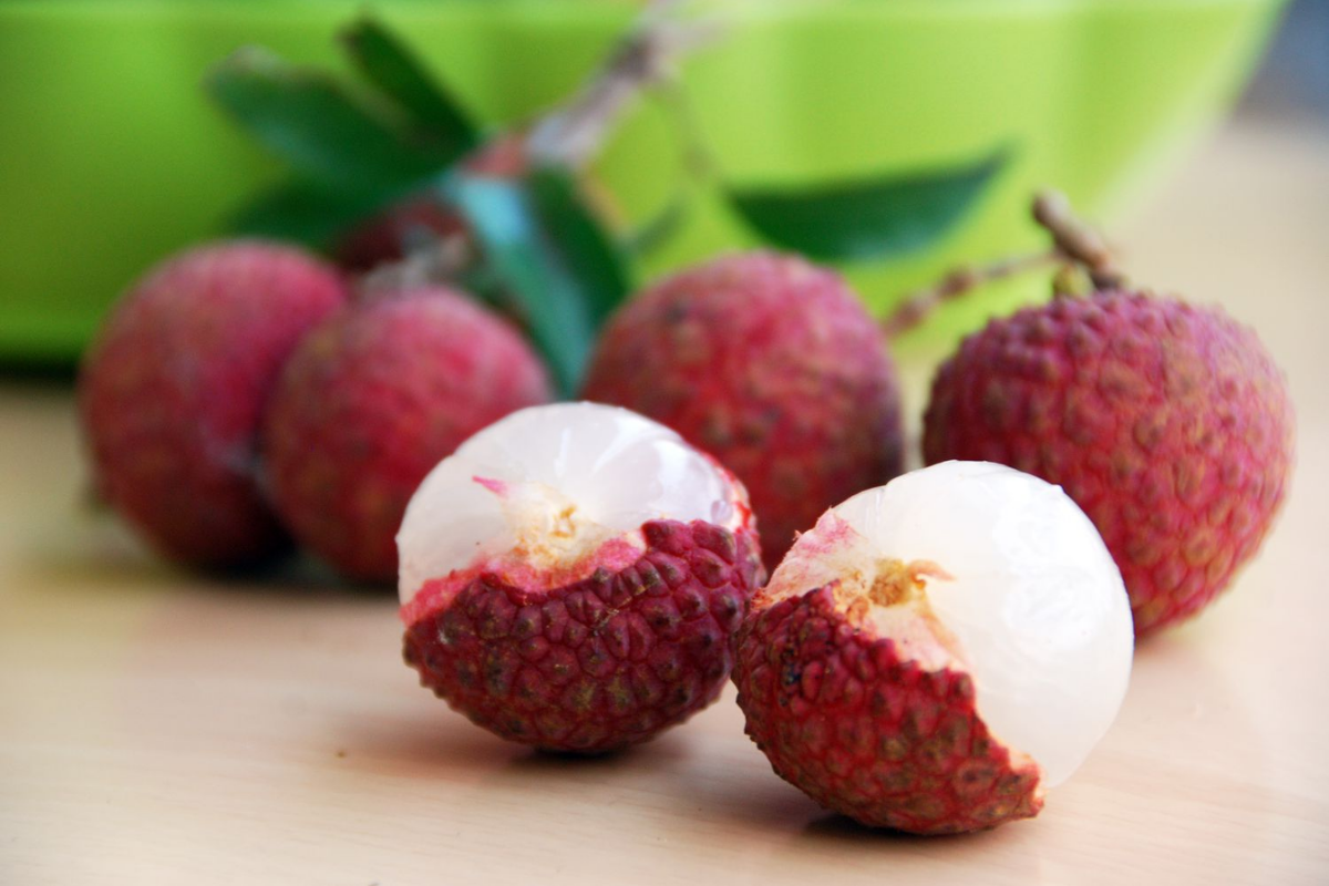 Eat Fresh Lychee Straight from the Orchard