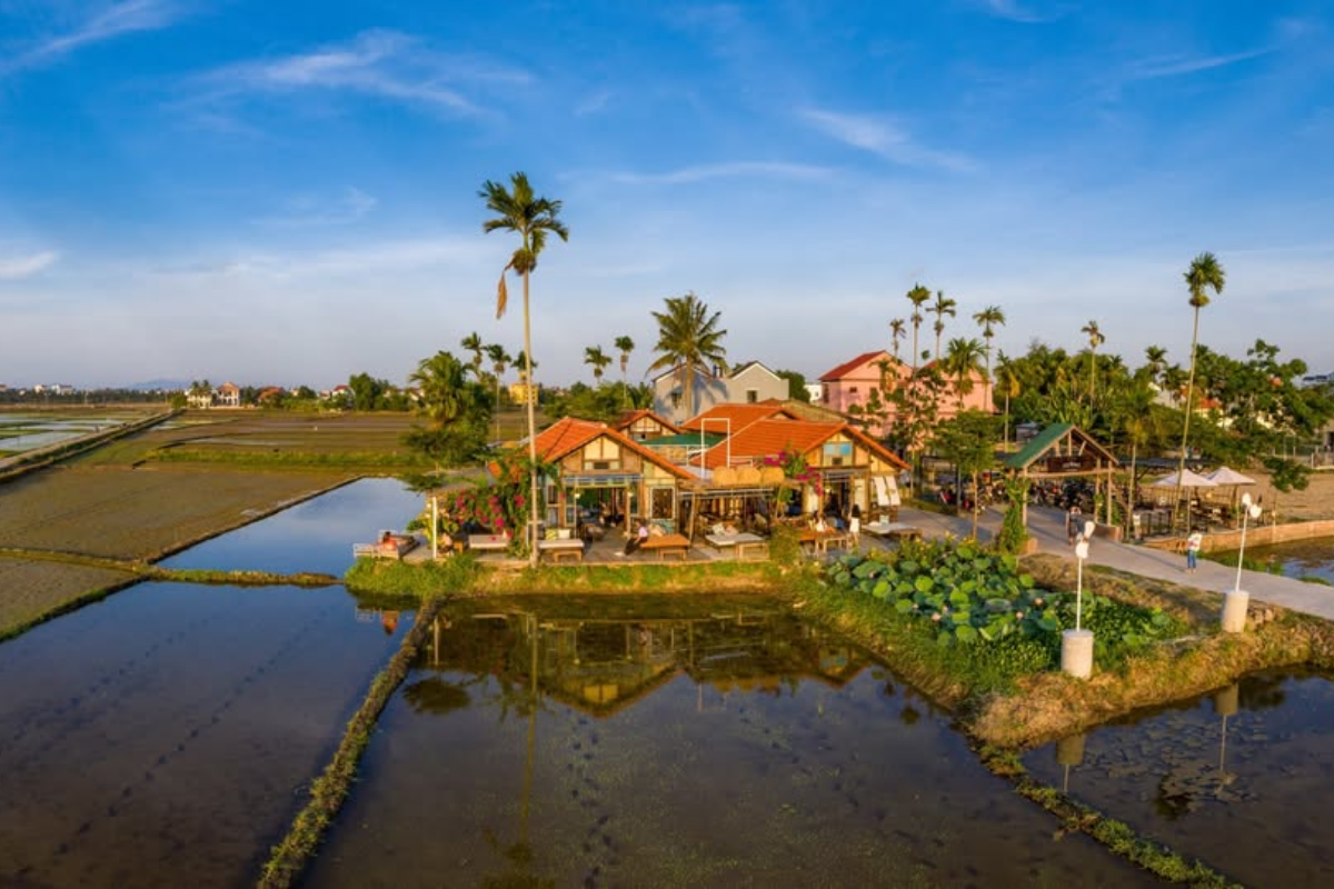 Panoramic Rice Field Terrace